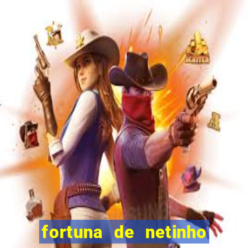 fortuna de netinho de paula